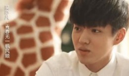 吴亦凡韩国爆料视频,娱乐圈背后的惊人真相